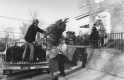 Truckload of Scotch Pine Christmas Trees