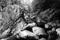 Stream in Addison County