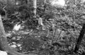 Hiking in Addison County