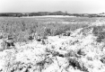Vergennes Ferrisburgh Site