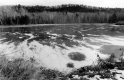 Winter Lake Scene