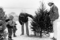 Family Picking out Trees