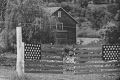 American Fence