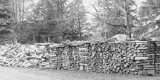 Firewood