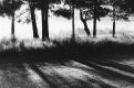 Vermont Landscape