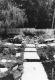 Stone steps through a garden