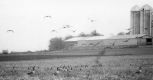 Farm Buildings