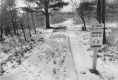 Snowy Trail