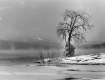 Snowy Lake