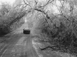 Automobile on Dirt Road during ice storm