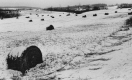 Snowy Farm Landscape