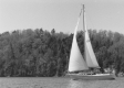 Gone Sailing
