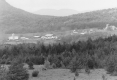 Farm Landscape