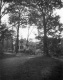Home in behind trees on the Grosse Point property
