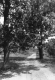 Dirt Road on Grosse Point property