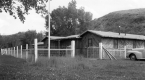 The Willows