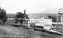 Hale Wood Shop
