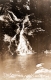 The Cascade