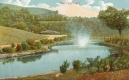 The Lily Pond