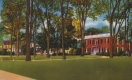 The Paddock Home