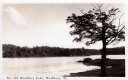 Woodbury Lake
