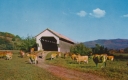 Covered Bridge at Cambridge