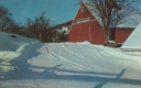 Barn Building