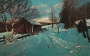 Winter Farm Landscape