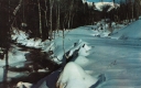 Winter Scene