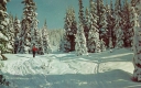 Winter Ski Scene