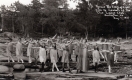 The Victory of Light Pageant