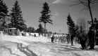 Hogback Mountain