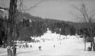 Snow Bowl
