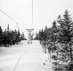Chairlift and conifers on the slope