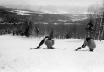 Ski Tricks