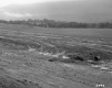 Frank W. Lathrop's Property 