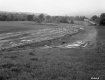 Frank W. Lathrop's Property 