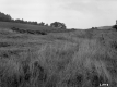 Frank W. Lathrop's Property 