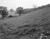 E.R. and E.M. Wilcox's Property
