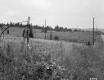 Charles L. and Frances C. Winslow's Property