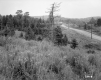 Charles L. and Frances C. Winslow's Property