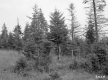 Charles L. and Frances C. Winslow's Property