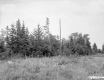 Charles L. and Frances C. Winslow's Property