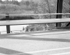 Bridge Curbing