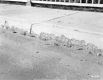 Bridge Curbing