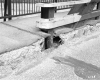 Bridge Curbing