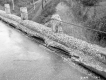 Bridge Curbing