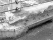 Bridge Curbing
