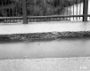 Bridge Curbing