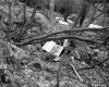 Spring on John I. and Frances Flevry's Property